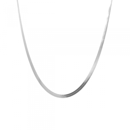 SILVER SNAKE